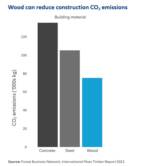 wood in construction.jpg